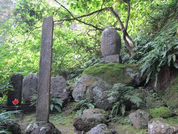せみ塚