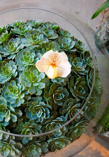 flowersdesign14_0
