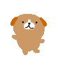 image4209