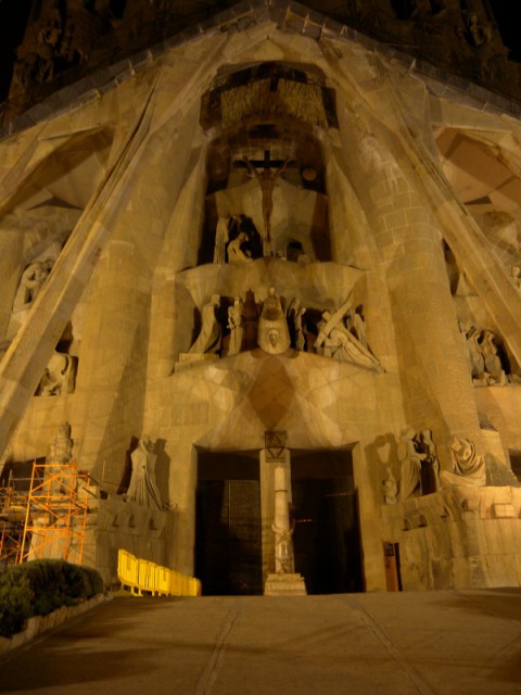 DSCN8667