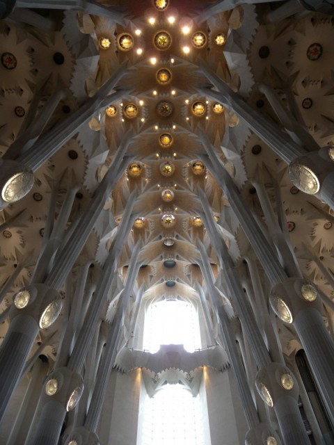 DSCN8696