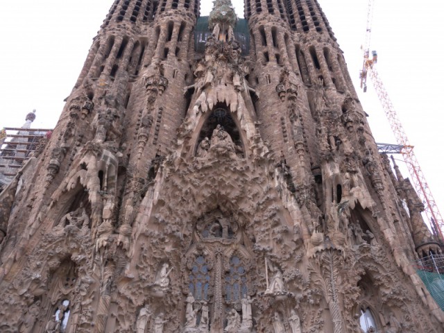 DSCN8705