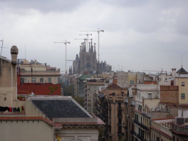 DSCN8842