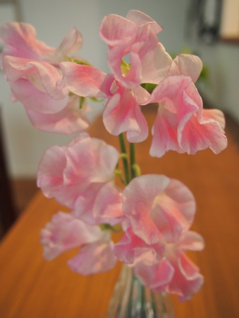 P1010216