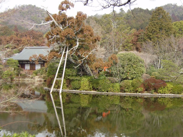 龍安寺④