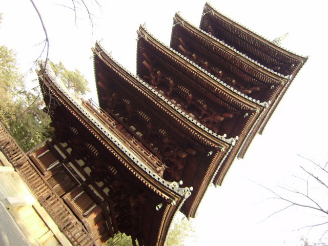 仁和寺5
