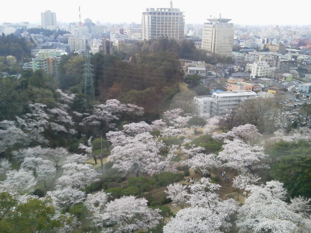 2012041714250000