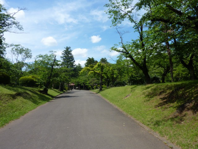 P1010923