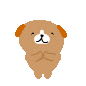 image4235