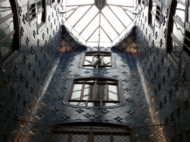 DSCN8997