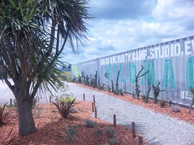 DVC00135