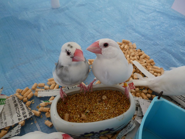 P1000236