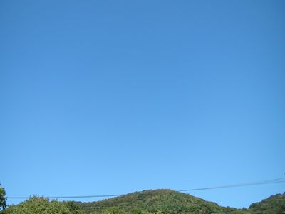 IMG_0605