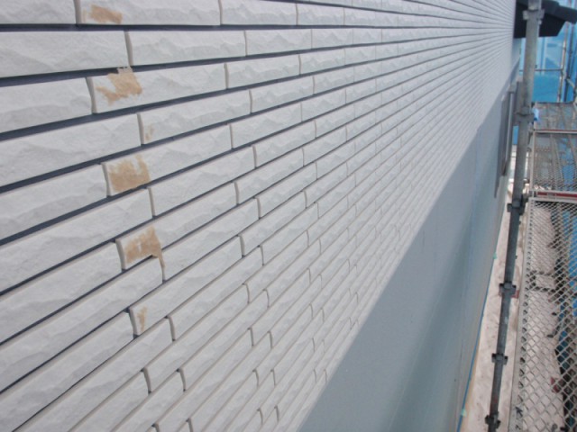 P5313370