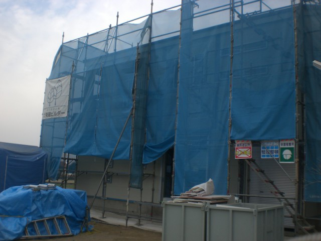 CIMG6784