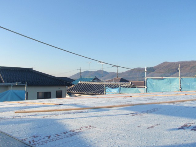 P1163846