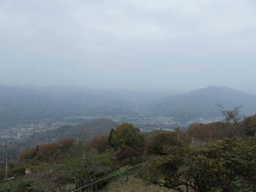 IMG_0305