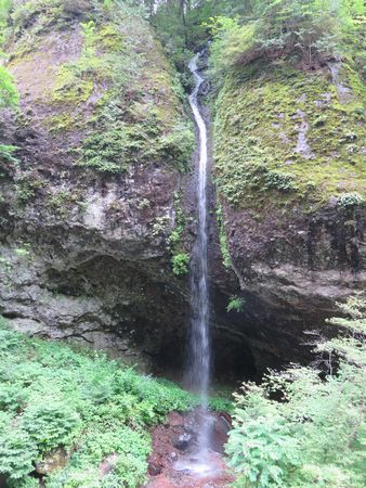 IMG_4539