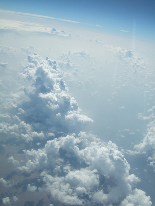 DSCF1209
