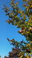 DVC00080