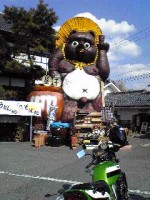 image-tanuki-dai