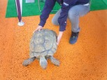 ～ミニ動物園～