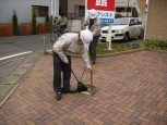 恒例行事