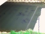 ぽかぽか