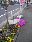 春の模様替え！？