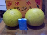 季節の贈り物
