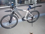 新車を購入