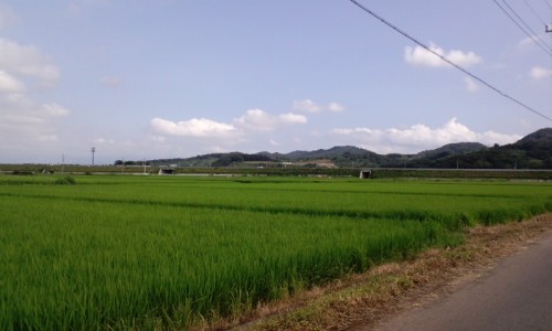 思い出・・・