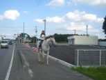 鷹狩（たかがり）にござりまするか！