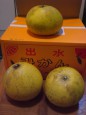 旬の贈り物
