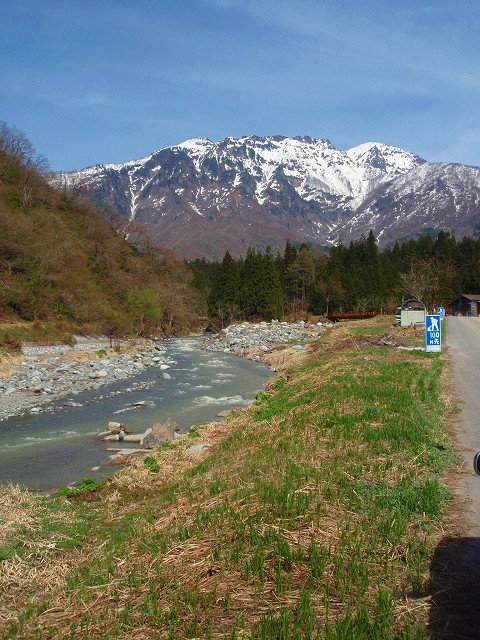 魚沼産コシヒカリ