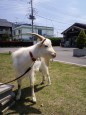 動物園？