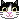 お昼の楽しみ・・・