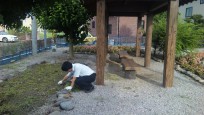 公園清掃