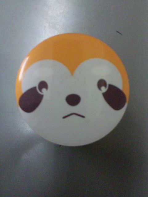アライグマ君です。