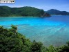 「奄美大島」