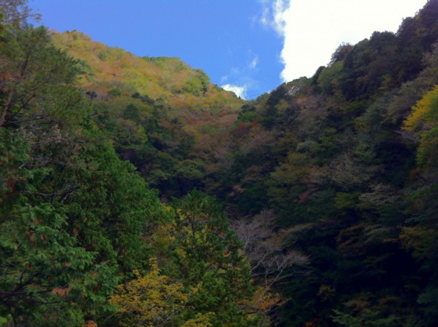☆秋のお散歩☆