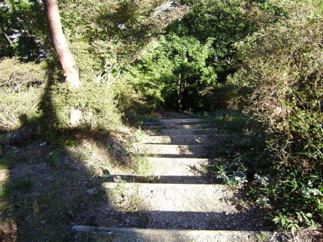 アルキの目線②