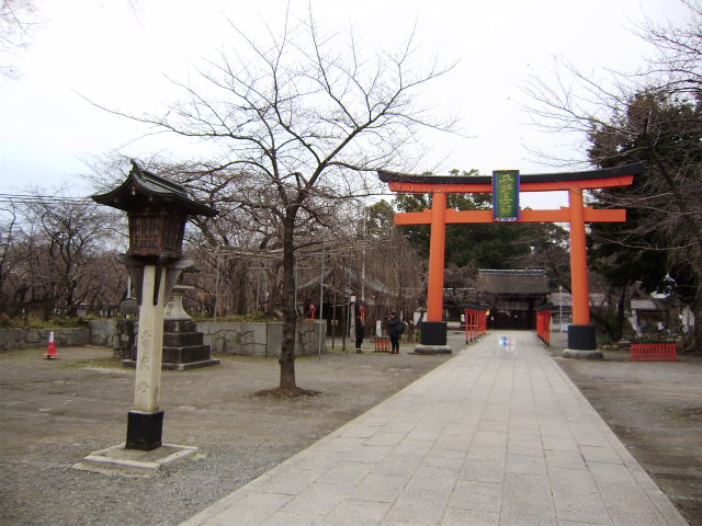 アルキの目線⑫