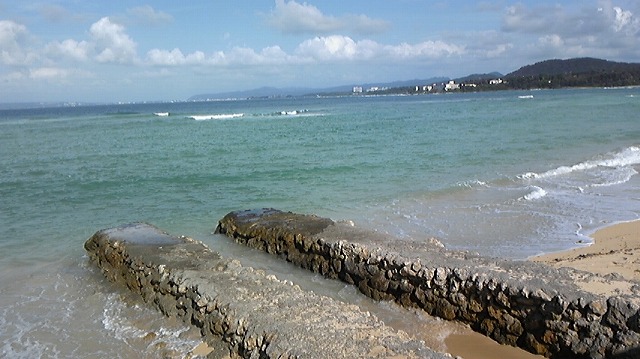 沖縄に思いを馳せて‥