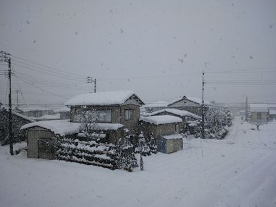 銀世界