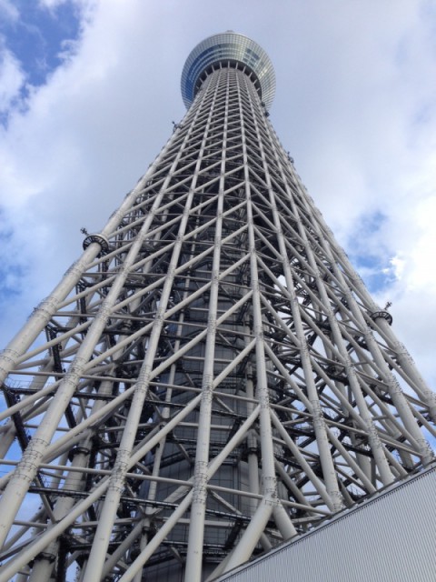 行ってきました。