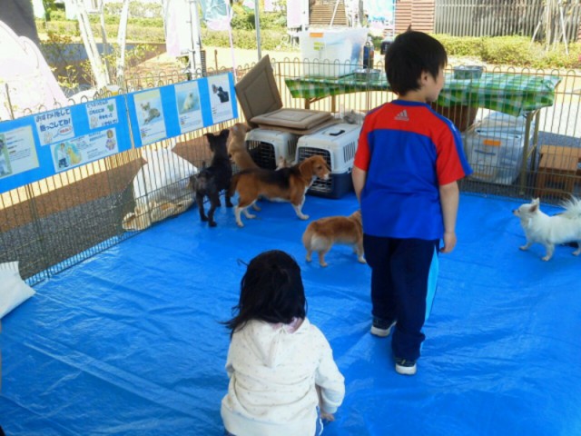 宇都宮店ＧＷイベント☆