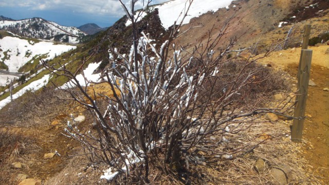 白根火山
