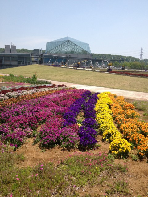なかがわ水遊園☆