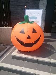お出迎え☆